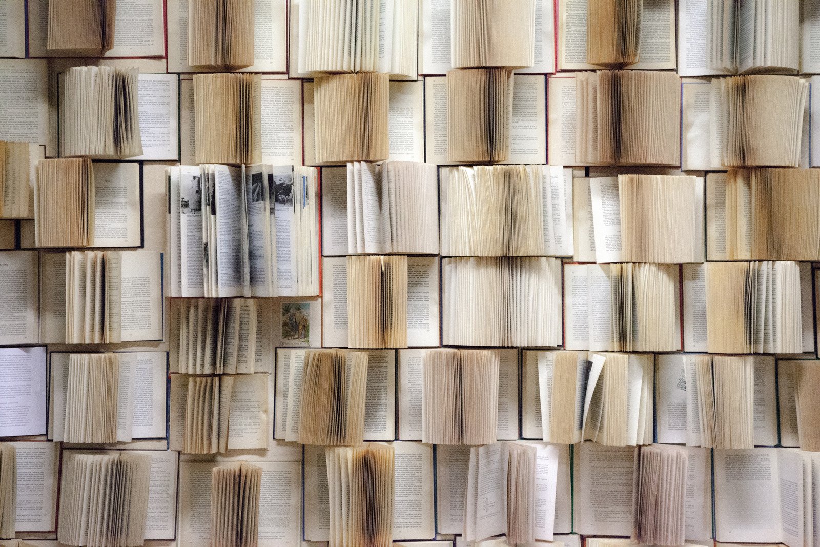 Interior de un libro maquetado por Designer Pro