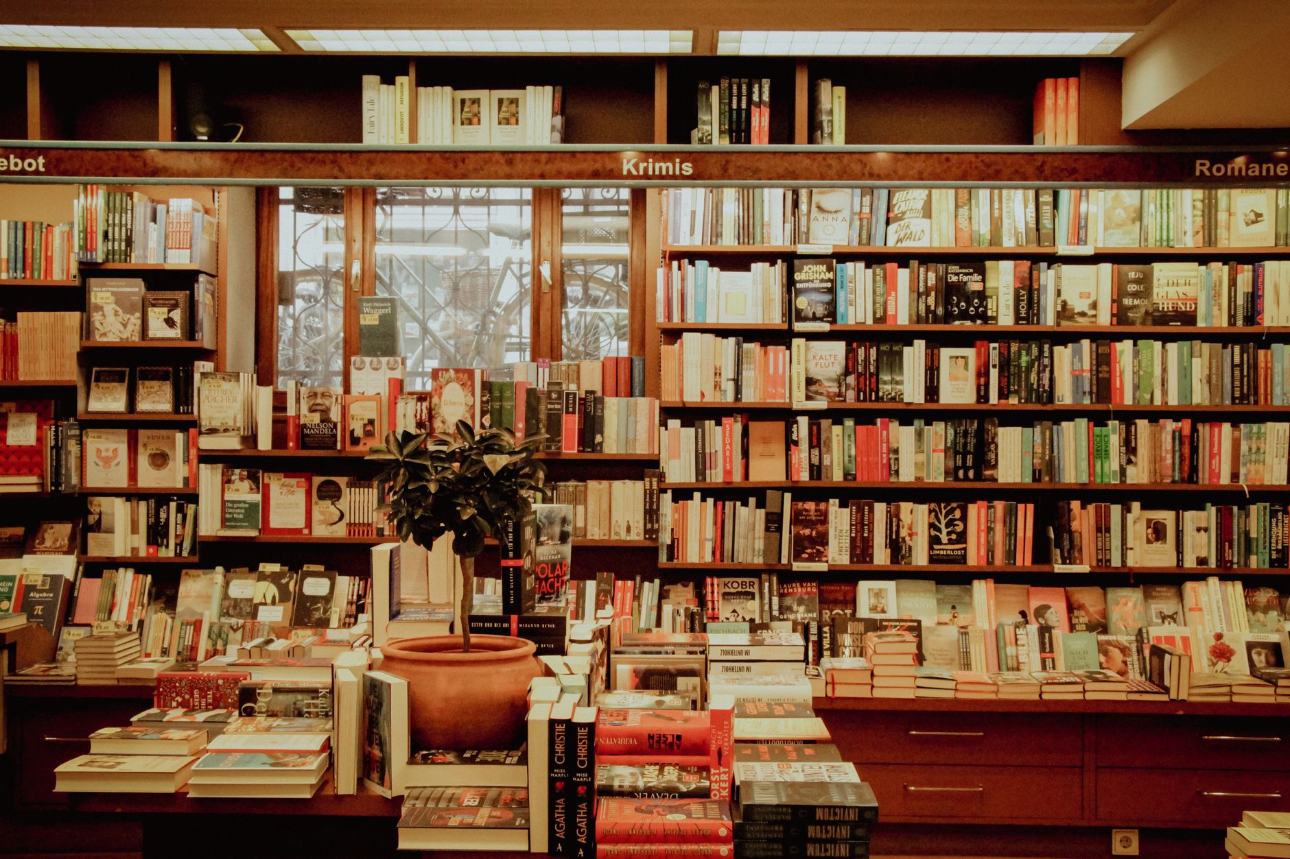 Librería con estanterías llenas de libros